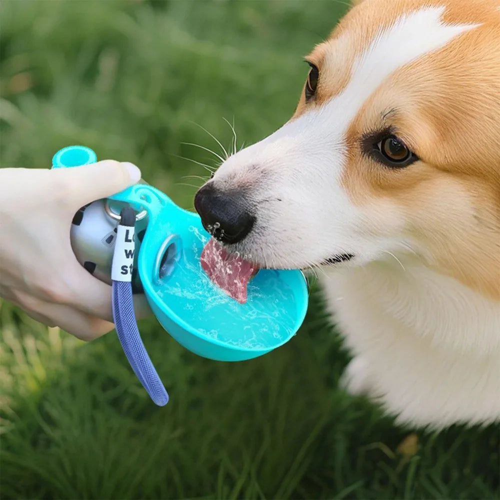 Adventure Dog Hydration Kit